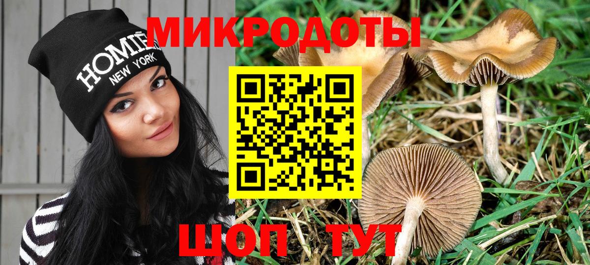 Псилоцибиновые грибы MAGIC MUSHROOMS Назрань