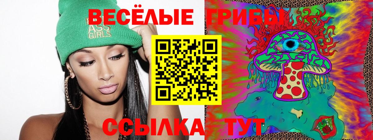 даркнет сайт  Псилоцибиновые грибы Psilocybine cubensis  Вход с VPN  Назрань 